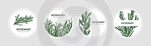 Collection of round labels decorated with rosemary sprigs. Set of beautiful circular tags with fragrant spicy culinary