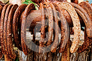 Collection of Rusty Horseshoes