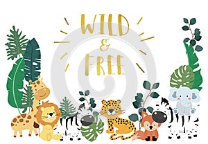 Collection of safari background set with giraffe,zebra,fox,lion.Editable vector illustration for birthday invitation,postcard and