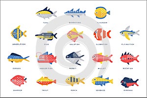 Collection of sea and river fish and lettering name in English vector Illustrations