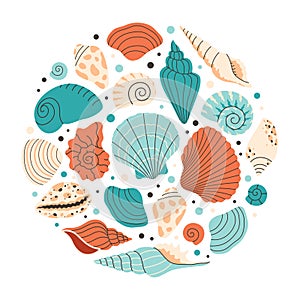 Collection of sea shells, mollusks, starfish, sea snails. Tropical beach shells. Vector illustration