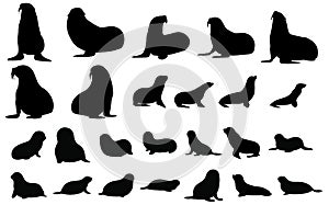 Collection of sealion silhouettes