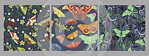 Collection of seamless pattern with night butterflies. Vector graphics