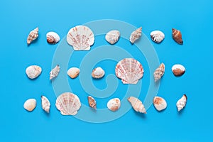 Collection of seashells on a blue background. Beautiful summer beach background. Top view, flat lay