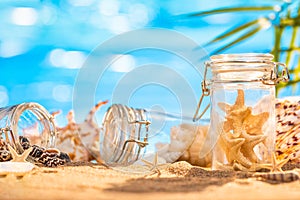 Collection of seashells and starfish in jars on the sandy seashore.