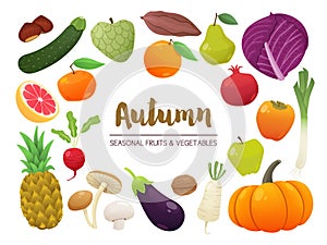 Collection of seasonal fruits and vegetables. Autumn time collection. Vector EPS10 illustration.