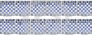 Collection of semi-open game chess openings