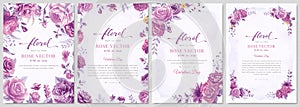 Collection set Beautiful Rose Flower and botanical leaf digital painted illustration