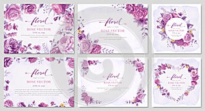 Collection set Beautiful Rose Flower and botanical leaf digital painted illustration