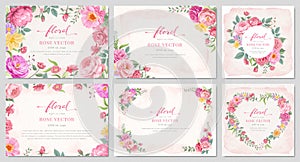 Collection set Beautiful Rose Flower and botanical leaf digital painted illustration