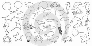 Collection set of black outline silhouettes of fish, seahorse, shells, octopuses, dolphins, sharks, whales, crabs and stingrays on