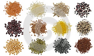 Collection Set of Cereal Grains and Seeds Heaps