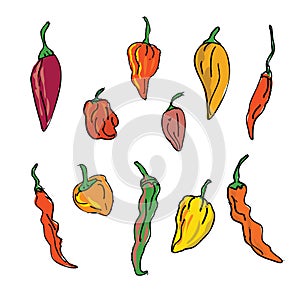 Collection or Set of Different Hot Chili Peppers Drawing photo
