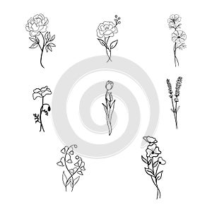 Collection Set Of Famous Flower Outline