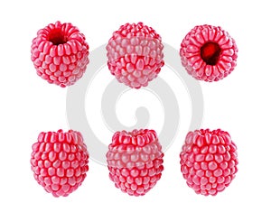 Collection set of fresh ripe raspberries isolated on white background.