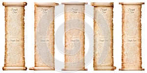 Collection set old parchment paper scroll sheet vintage aged or texture isolated on white background