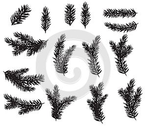 Collection Set of Realistic Fir Branches Silhouette for Christmas Tree, Pine. Vector Illustration