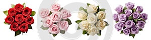 Collection set of red pink cream lavender violet bouquet bunch of rose roses flower floral top view on transparent cutout, PNG