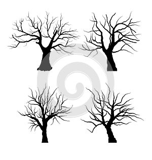 Collection Set of Trees Silhouettes isolated