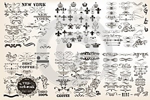 Collection or set of vector vintage flourishes for design