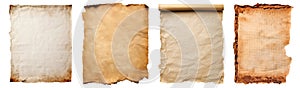 Collection set of vintage aged paper scroll parchment, old texture torn burnt crumple rip edges on transparent cutout, PNG