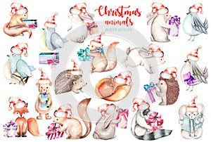 Collection, set of watercolor cute Christmas forest animals illustrations