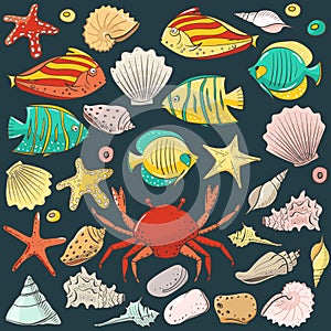 Collection with shell, starfish, fish, stone. Vector set for design in sea beach style. Colored exotic shells