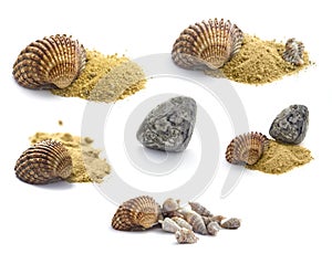 Collection of shells, stones and sand