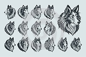 Collection of Sheltie dog head silhouette illustration design