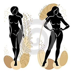 Collection. Silhouette of a cute lady and plant leaves. The girl is standing. The woman has a beautiful naked figure