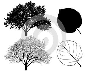 Collection of silhouettes of apricot trees and leaves