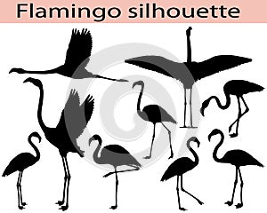 Collection of silhouettes of flamingo birds