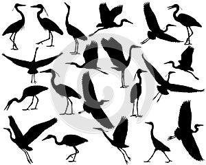 Collection of silhouettes of heron or egret birds
