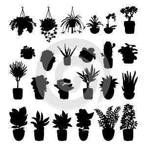 Collection of silhouettes of indoor plants. Pot plants isolated on white background. Simple vector illustration