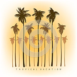 A collection of silhouettes of palm trees in a realistic style.