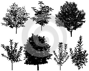 Collection of silhouettes of trees