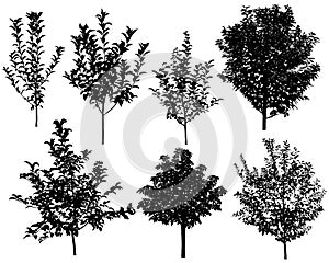 Collection of silhouettes of trees