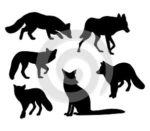 Collection silhouettes wild forest animals fox and wolf. Vector illustration. Isolated hand drawings predators on white