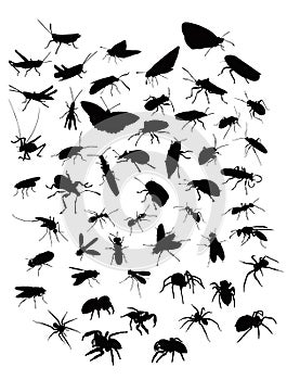 Collection of sillhouettes of insects