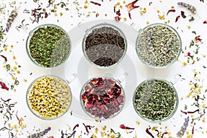 Collection from six different types of tea leafs.