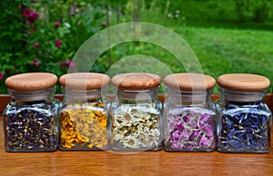 Collection of small transparent jars with flowers