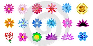 Collection of spring and summer flowers in many colors for use in print medien. photo