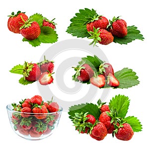 Collection of strawberries