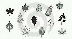 Assorted Leaf Illustrations on White