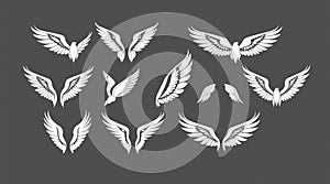 Elegant Wing Designs: Vector Set