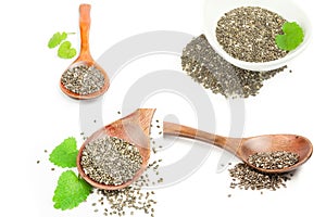 Collection of superfood chia seeds