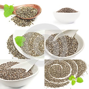 Collection of superfood chia seeds close-up on white