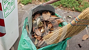 Collection sweeping leaves