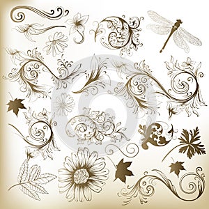 Collection of swirl floral vector elements for design