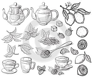 Collection of tea leaves